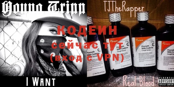 трава Инта