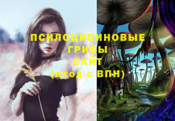 дживик Зерноград